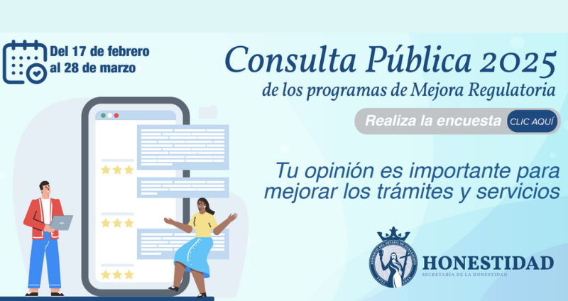 Consulta Publica .pdf (1)